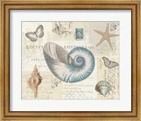 Beach Wonders II Fine Art Print