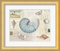 Beach Wonders I Fine Art Print