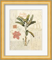 Floridian III Fine Art Print