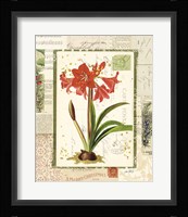 Holiday Nostalgia III Framed Print