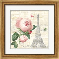 Roses in Paris IV Fine Art Print