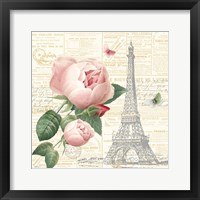 Roses in Paris IV Framed Print