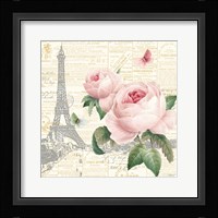 Roses in Paris III Framed Print