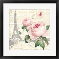 Roses in Paris III Framed Print