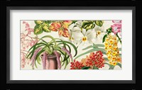 Panneau Botanique IV Framed Print