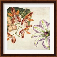 Panneau Botanique V Fine Art Print