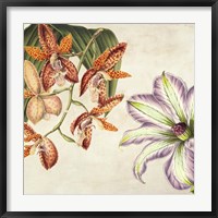 Panneau Botanique V Fine Art Print