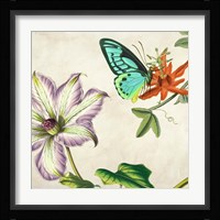 Panneau Botanique VI Framed Print