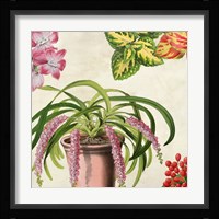 Panneau Botanique VII Framed Print