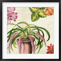 Panneau Botanique VII Fine Art Print