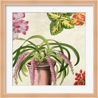 Panneau Botanique VII Fine Art Print