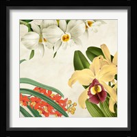 Panneau Botanique VIII Framed Print