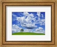 Oak and clouds, Bavaria, Germany Fine Art Print