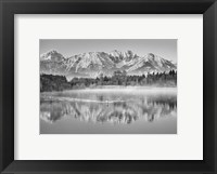 Allgaeu Alps and Hopfensee lake, Bavaria, Germany (BW) Fine Art Print