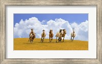 Herd of Wild Horses Fine Art Print