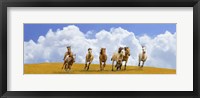 Herd of Wild Horses (detail) Fine Art Print