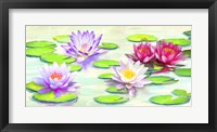Nympheas Fine Art Print