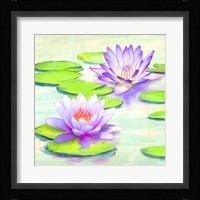 Nympheas I Framed Print