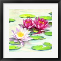 Nympheas II Fine Art Print