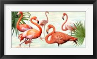 Flamingos Fine Art Print