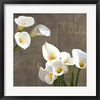 White Callas Fine Art Print