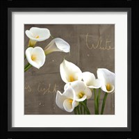 White Callas Fine Art Print