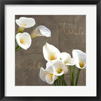 White Callas Fine Art Print