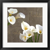 White Callas Fine Art Print