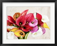 Live & Love Fine Art Print