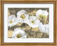 Washed Poppies (Ash & Gold) Fine Art Print