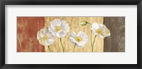 Poppies on Smooth Background Fine Art Print
