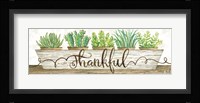 Thankful Succulent Pots Fine Art Print
