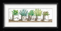 Gather Succulent Pots Fine Art Print