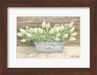 Flowers & Garden Tulips Fine Art Print