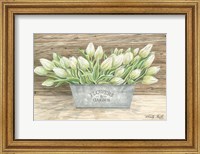 Flowers & Garden Tulips Fine Art Print