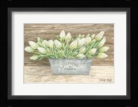 Flowers & Garden Tulips Fine Art Print