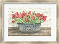 Farmer's Market Tulips Fine Art Print