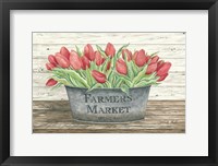Farmer's Market Tulips Fine Art Print