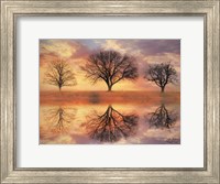 Trio of Trees Fine Art Print