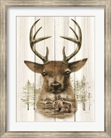 Deer Wilderness Portrait Fine Art Print