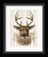 Deer Wilderness Portrait Framed Print