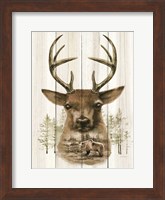Deer Wilderness Portrait Fine Art Print