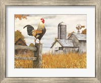 Down on the Farm II Fine Art Print
