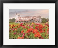 Vermont Flowers Framed Print