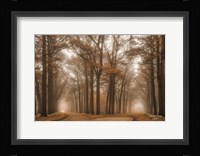 Split Fine Art Print