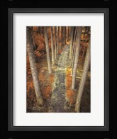 A Magical Flight Fine Art Print