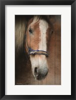 Blaze Fine Art Print
