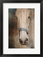 Old Gray Mare Fine Art Print