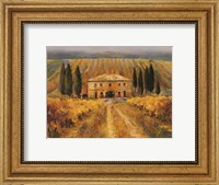 Toscana Vigna Special Fine Art Print