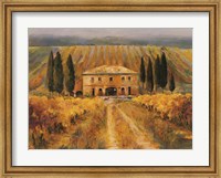 Toscana Vigna Special Fine Art Print